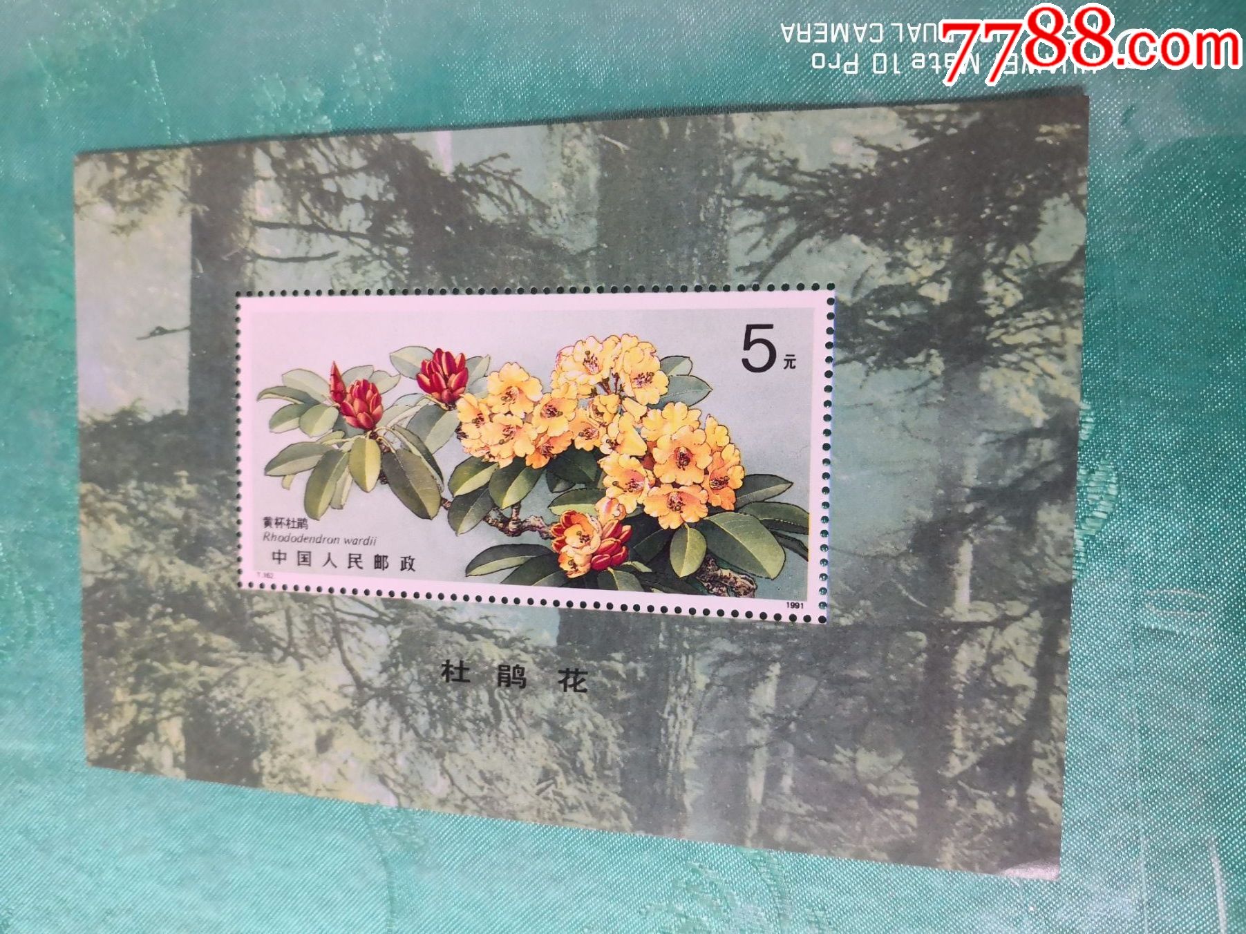杜鹃花小型张一枚-新中国邮票-7788商城__七七八八商品交易平台(7788.