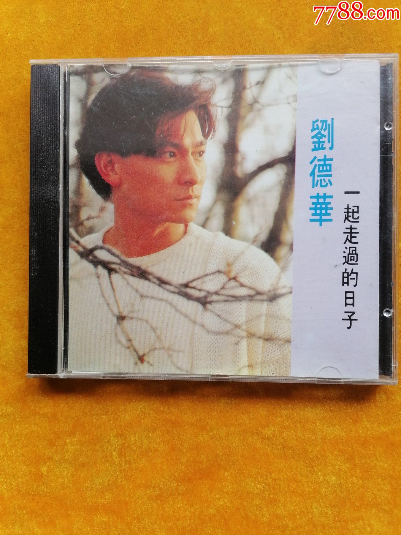 刘德华一起走过的日子