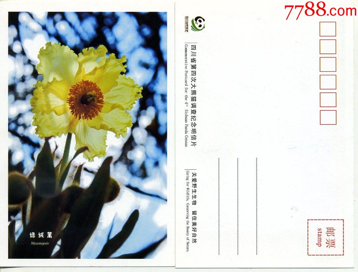 关爱野生生物明信片-绿绒篙植物明信片2张合拍