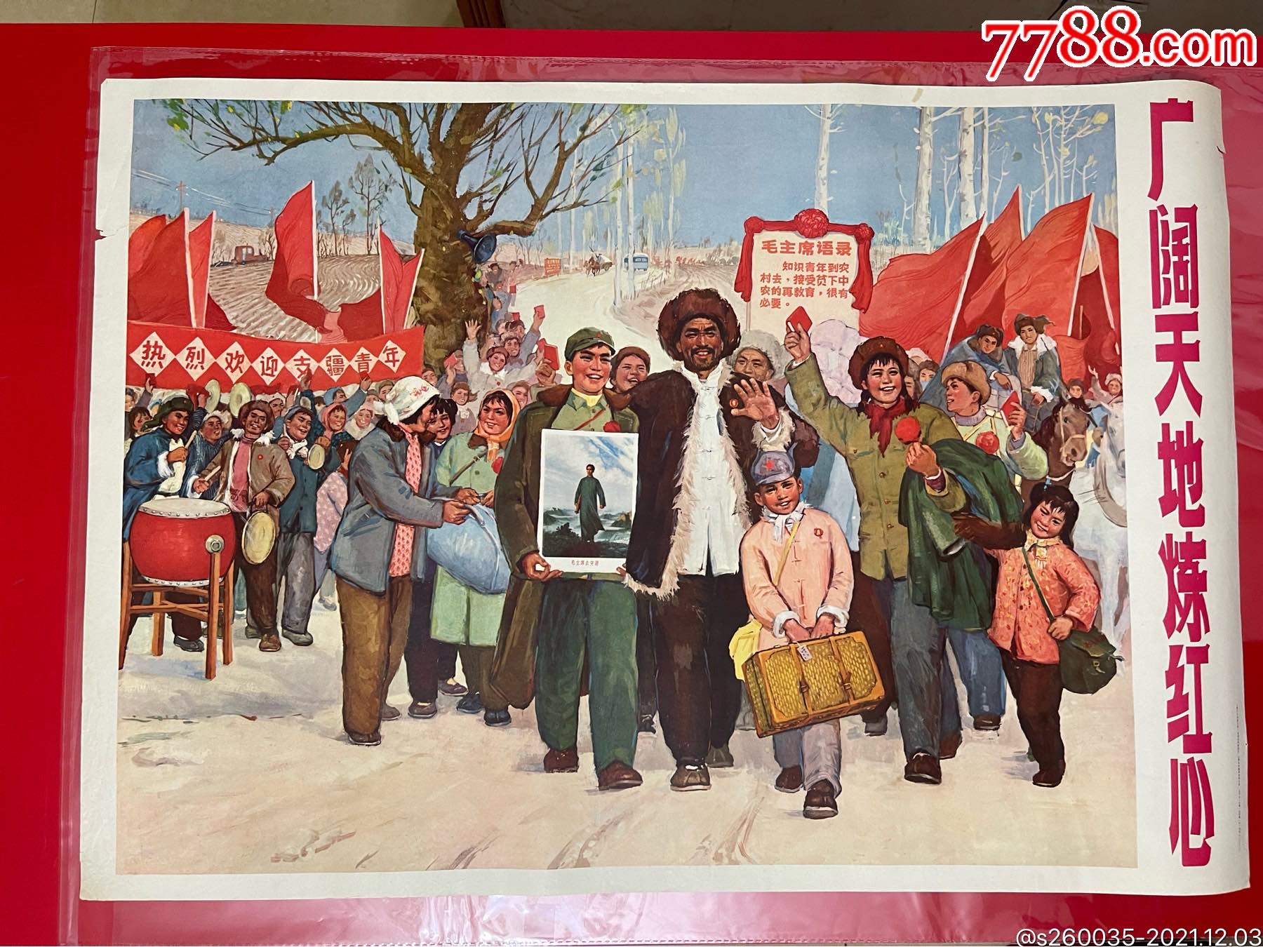 优品专拍     《广阔天地炼红心》        ￥590        次