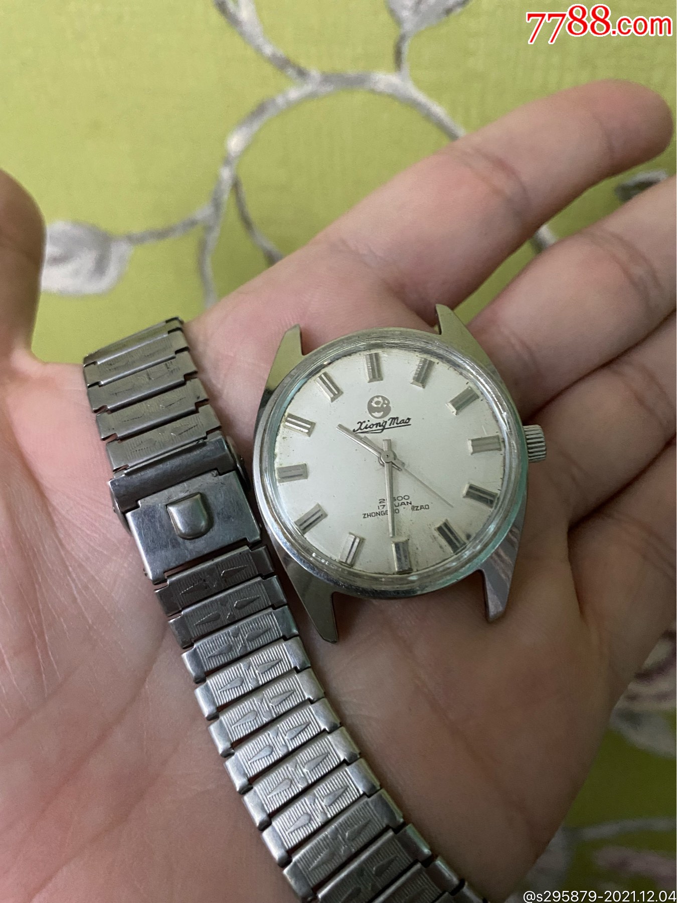 坐着熊猫表稀少的