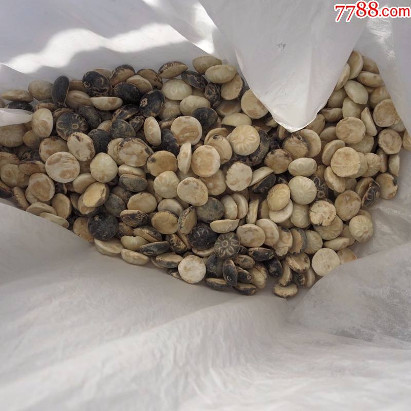 宋代定窑围棋子一付老瓷围棋子古代老围棋子