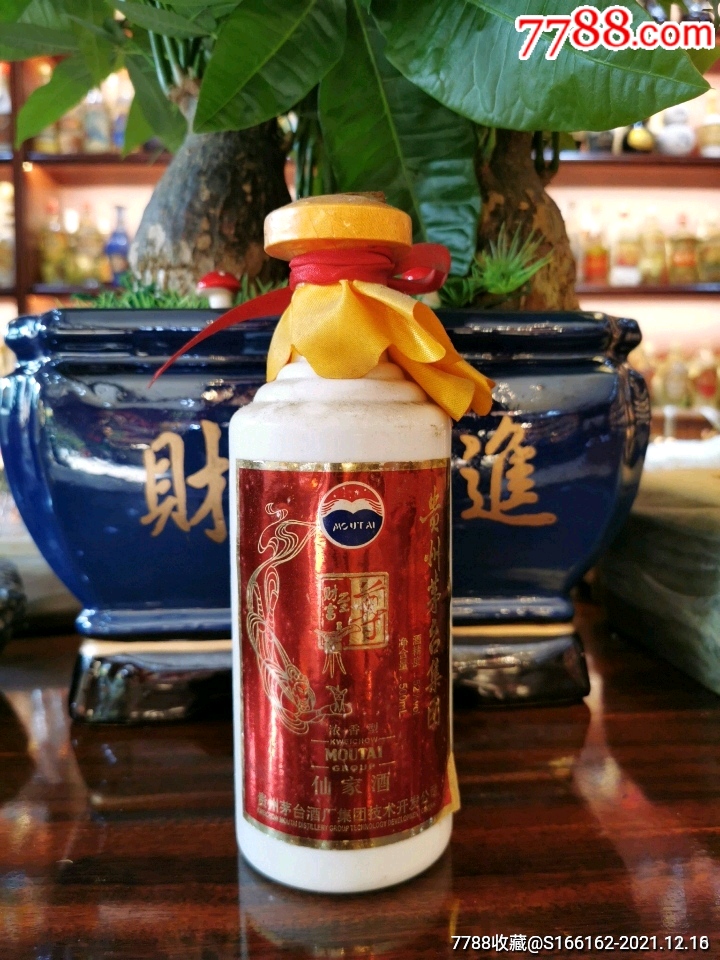 07年52度贵州茅台集团仙家酒一瓶