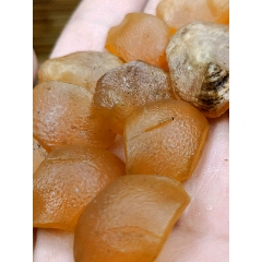 鱼惊石原石(zc28693656)_7788收藏__收藏热线