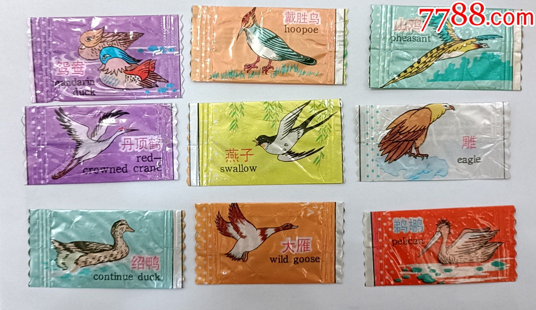 少见喔喔系列奶糖动物共45枚没有重复