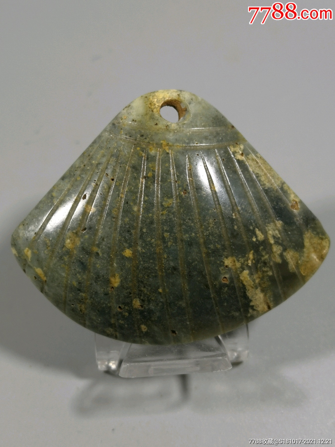 红山时期贝壳