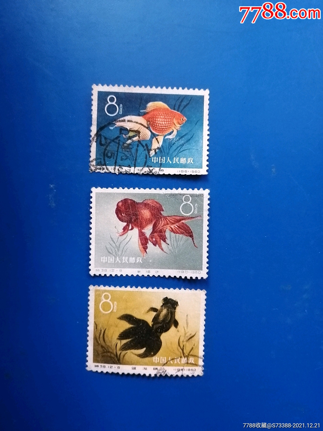 特38金鱼三枚_新中国邮票_图片价值_收藏交易_7788小人书