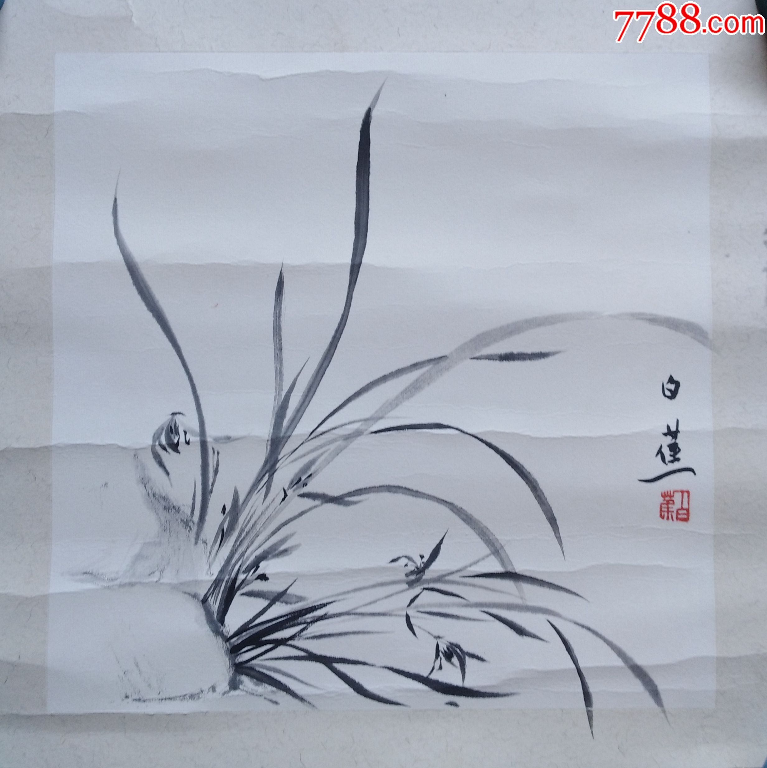 白蕉款32x32卡纸兰花