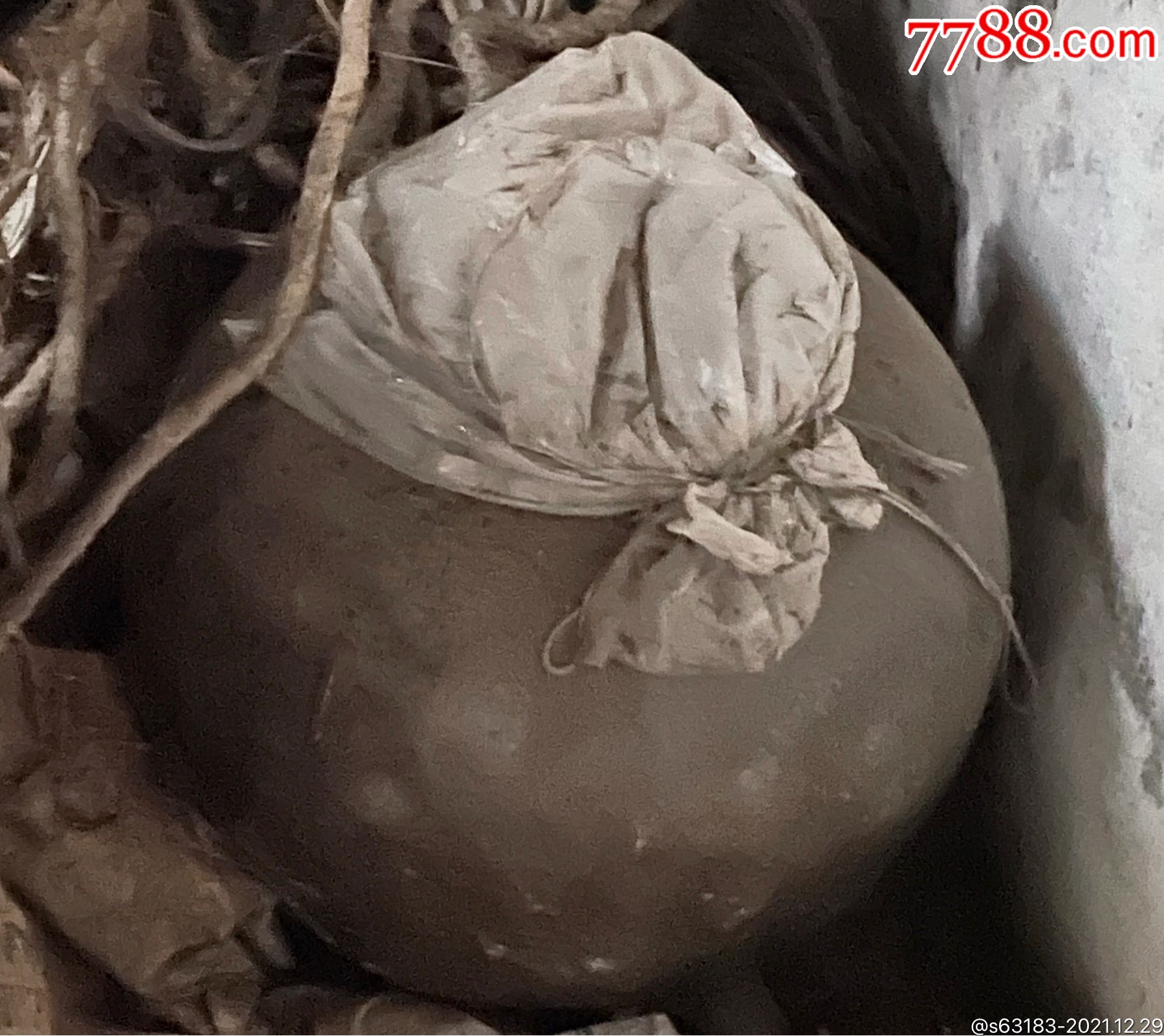 老宅遗留的一大缸浓香白酒完好浓香依旧(-老酒收藏-7788商城