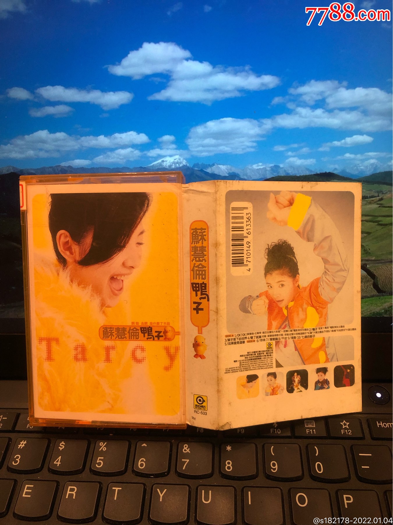 苏慧伦鸭子台湾滚石原版