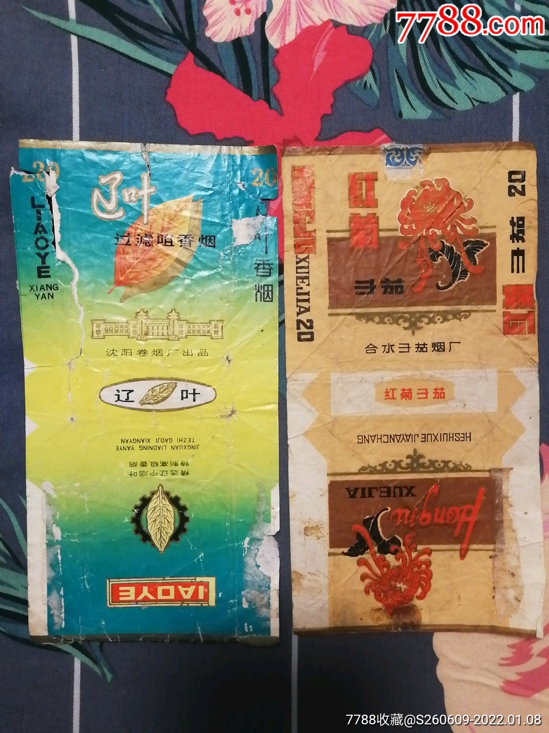 辽叶红菊