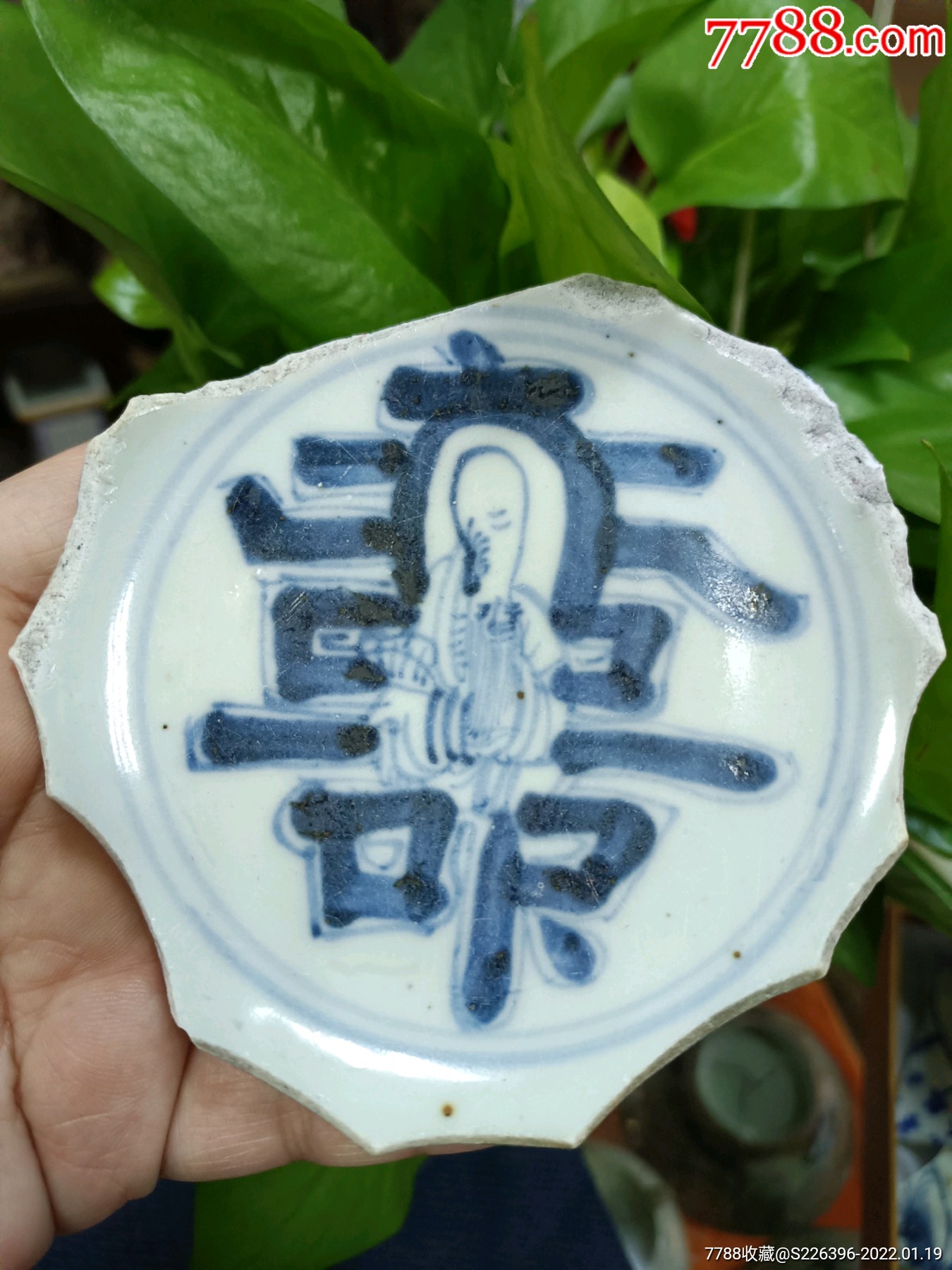 明代寿中寿卧足洗标本