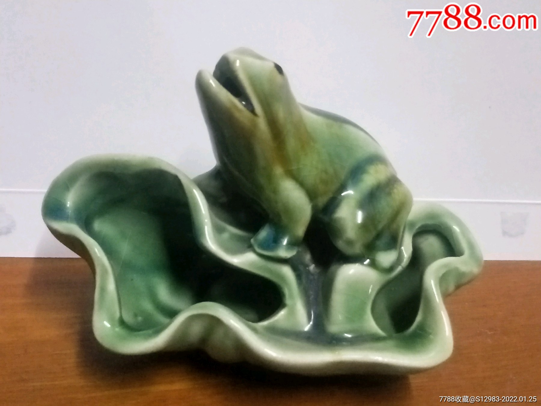 青蛙坐在荷叶上