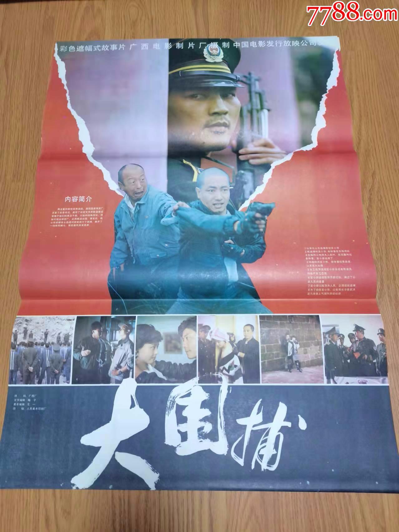 安题材电影海报大围捕