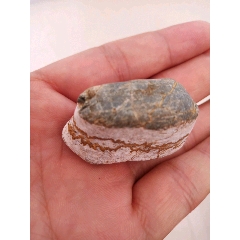  strong>一块小石头 /strong>_其他奇石/岩石_其他种类_其他类型