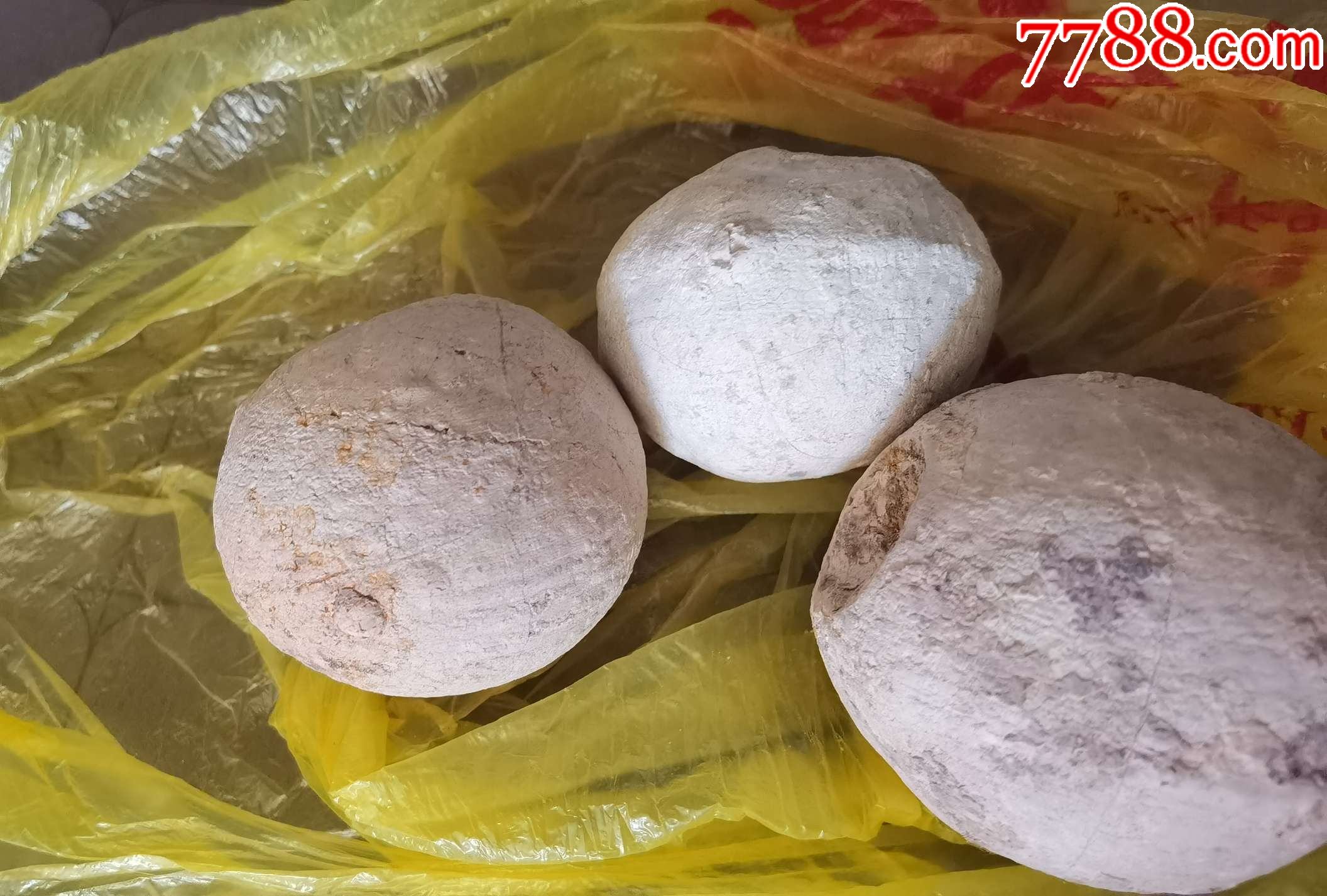 不知是什么蛋的石头一窝三枚,_动植物化石【因缘和合皆梵空】_第4张
