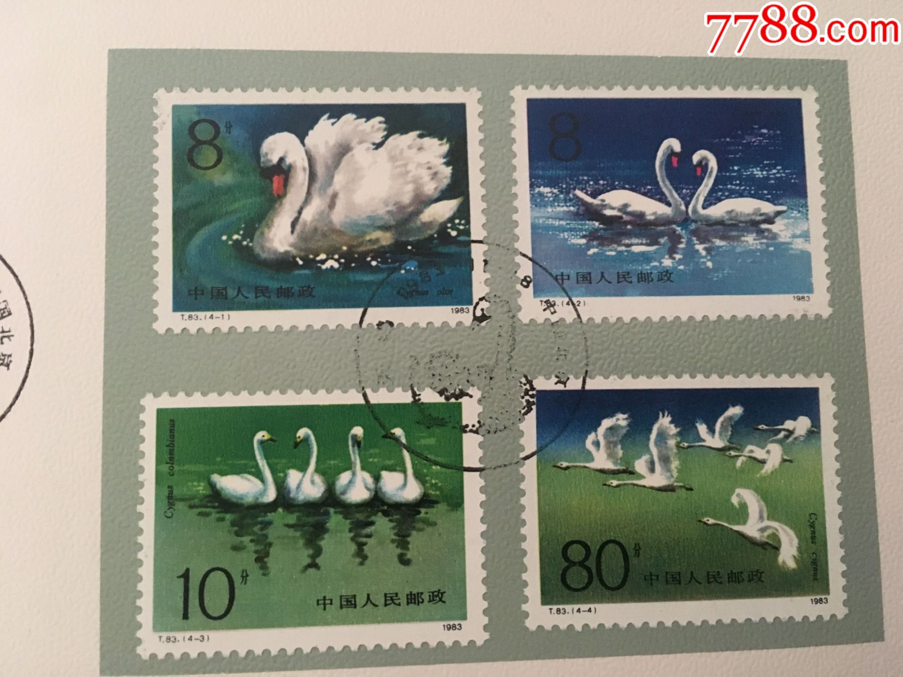 1983年中国人民邮政发行天鹅邮票折一套