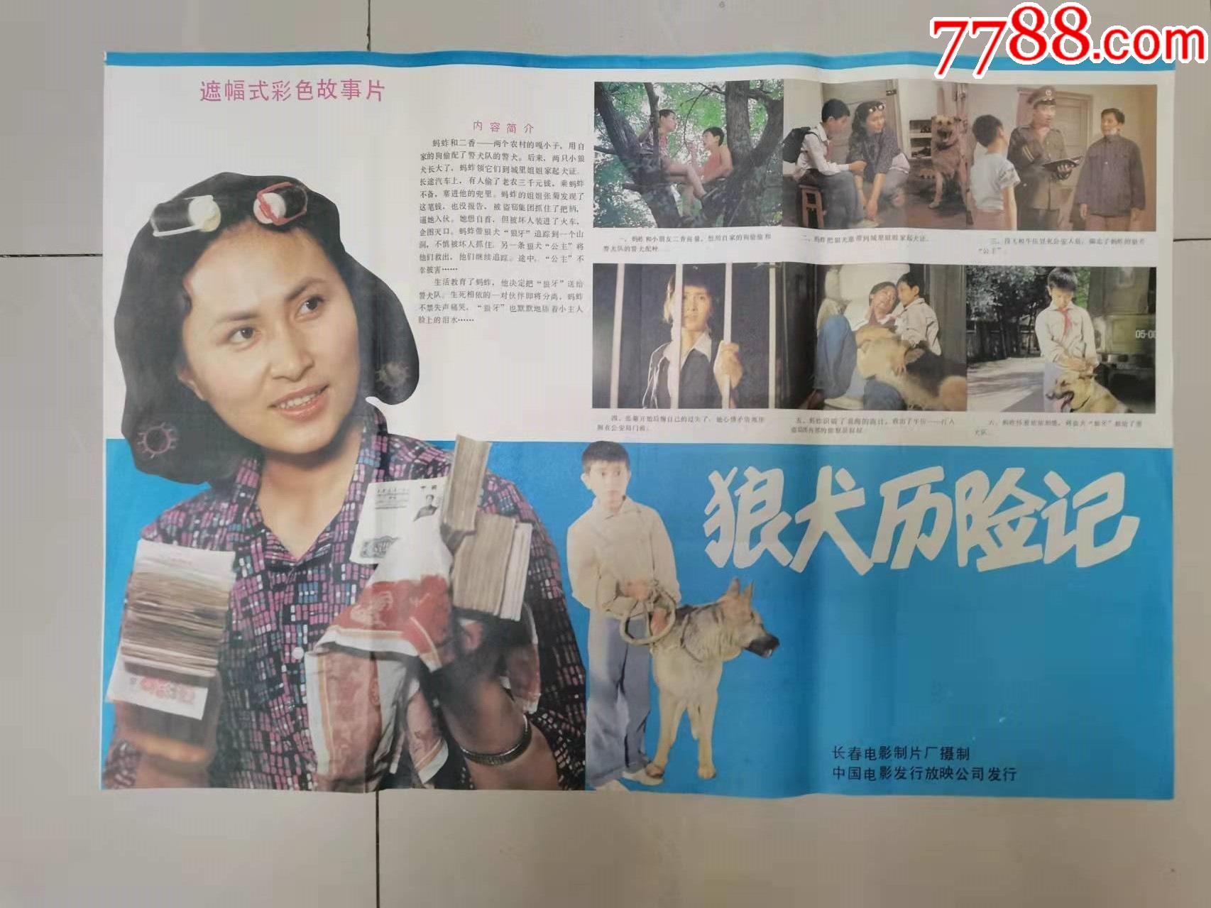 安题材电影海报狼犬历险记