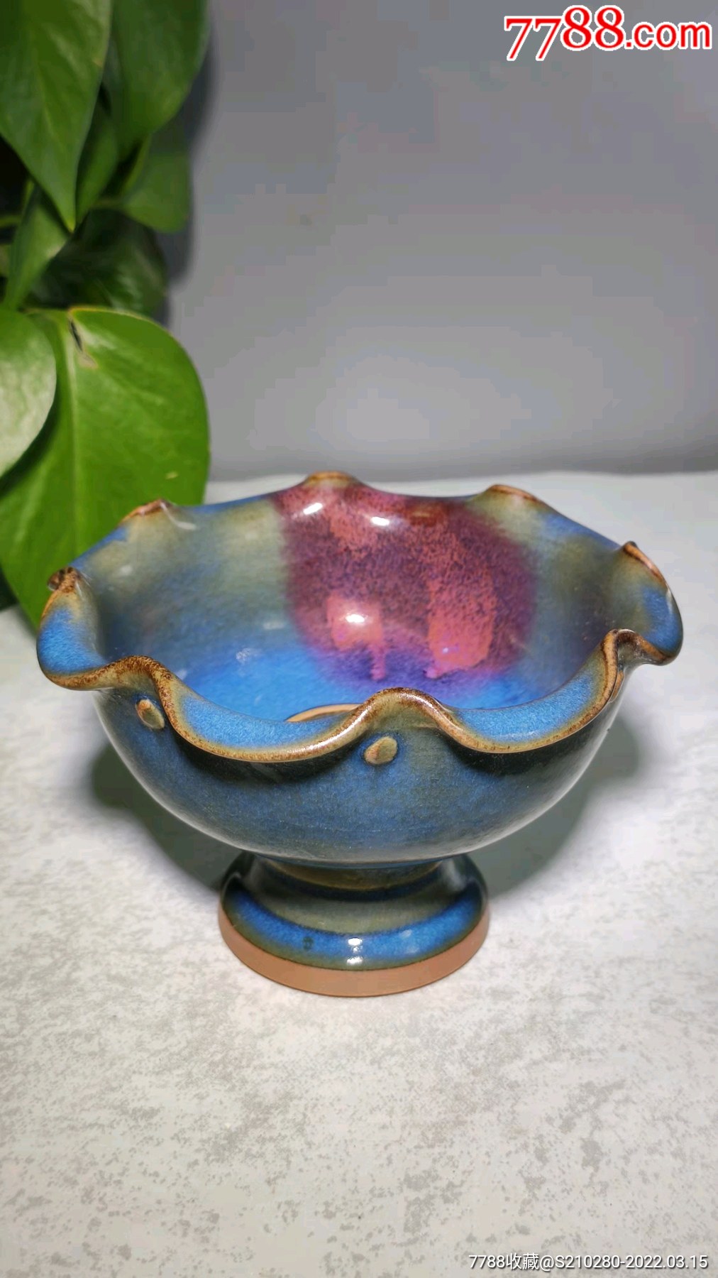 钧瓷挂红花口高足杯造型独特瓷质细腻釉水肥厚窑变漂亮