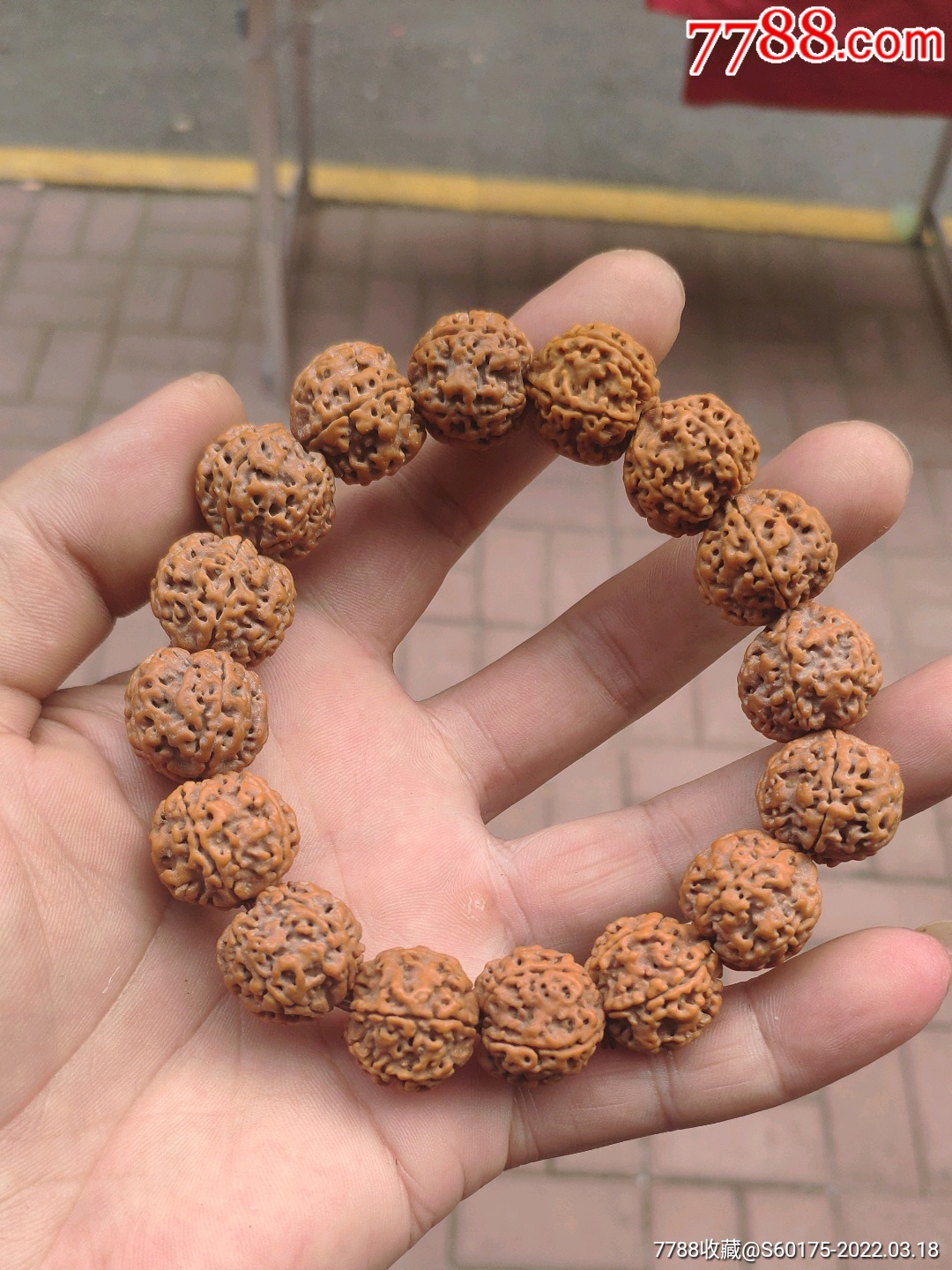 五瓣梅花双龙大金刚