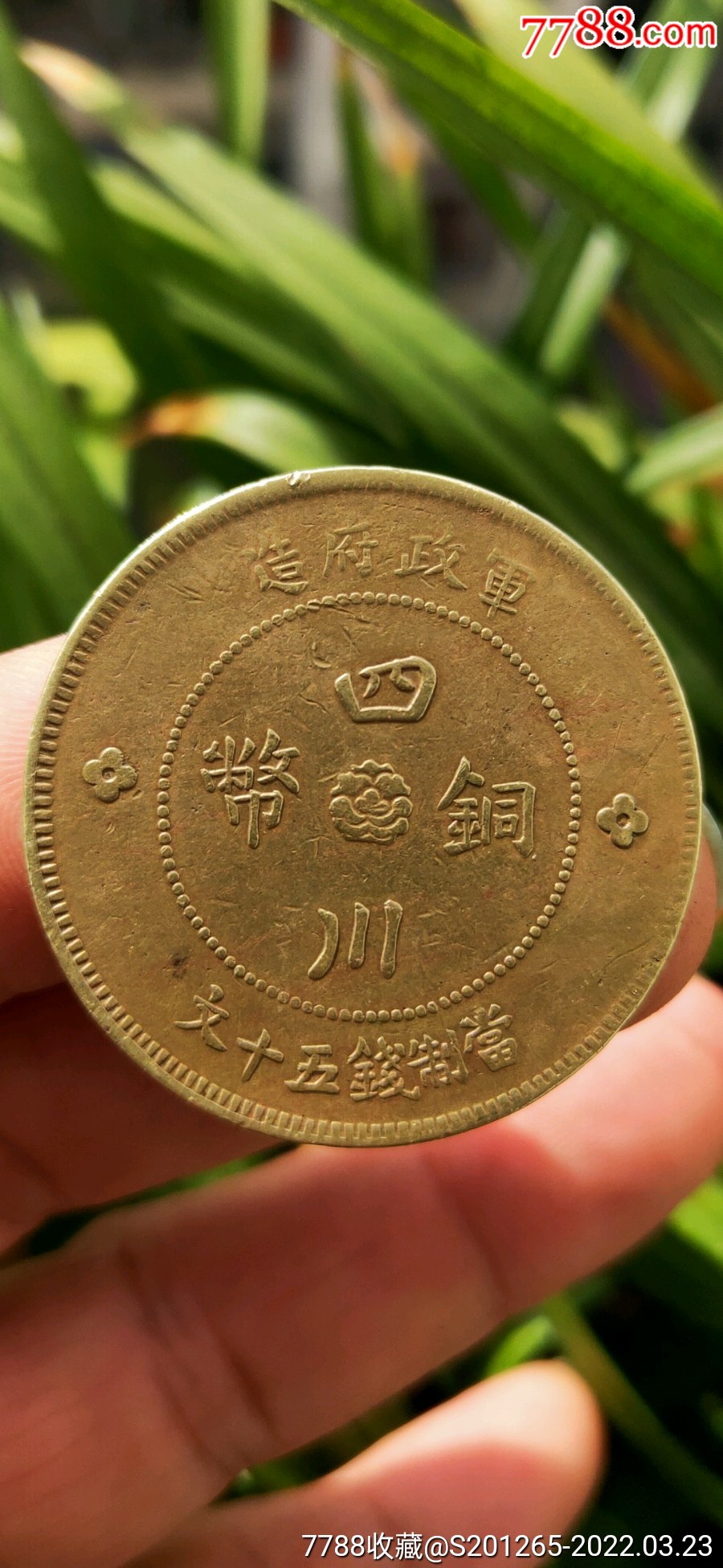 军政府造黄铜元精品四川铜币当制钱五十文