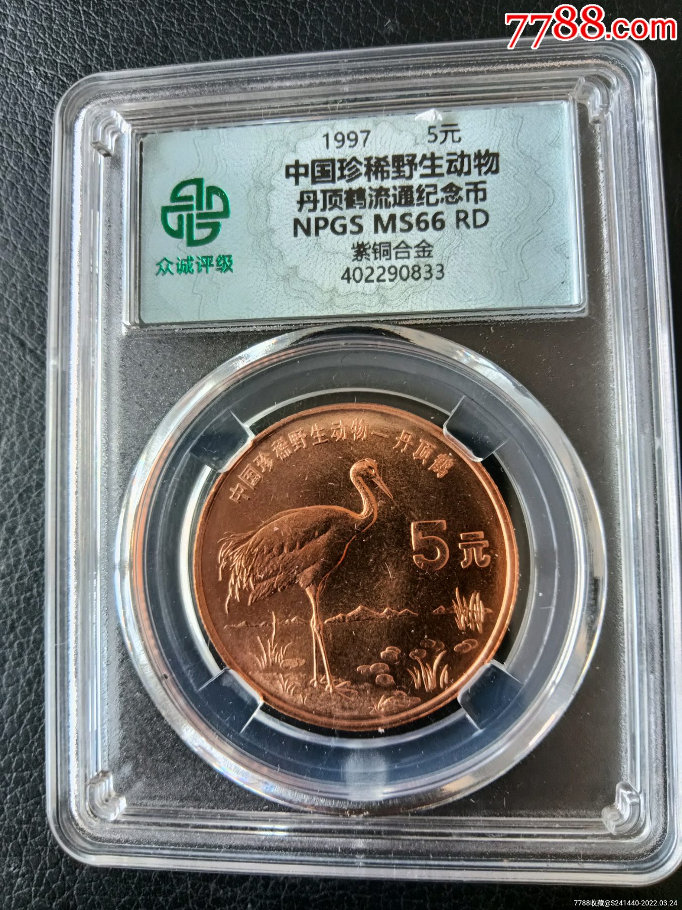 ms66分丹顶鹤纪念币