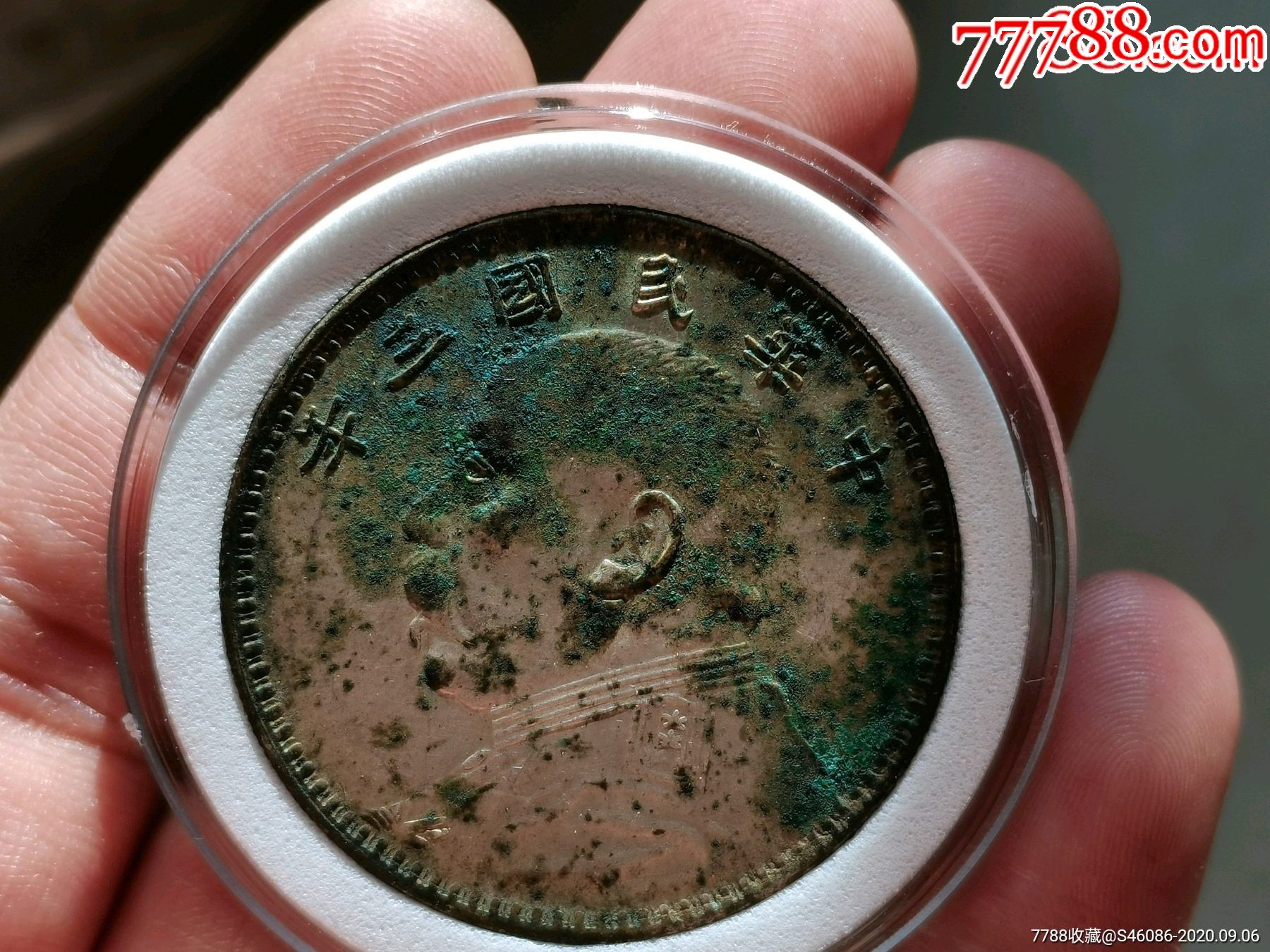 收藏级的甘肃绝美大橄榄齿刺猬头三年大头