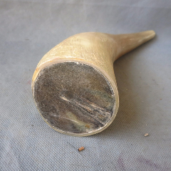 老牛角不知名角牛角骨角制品老角一只(au29694812)_7788收藏__收藏