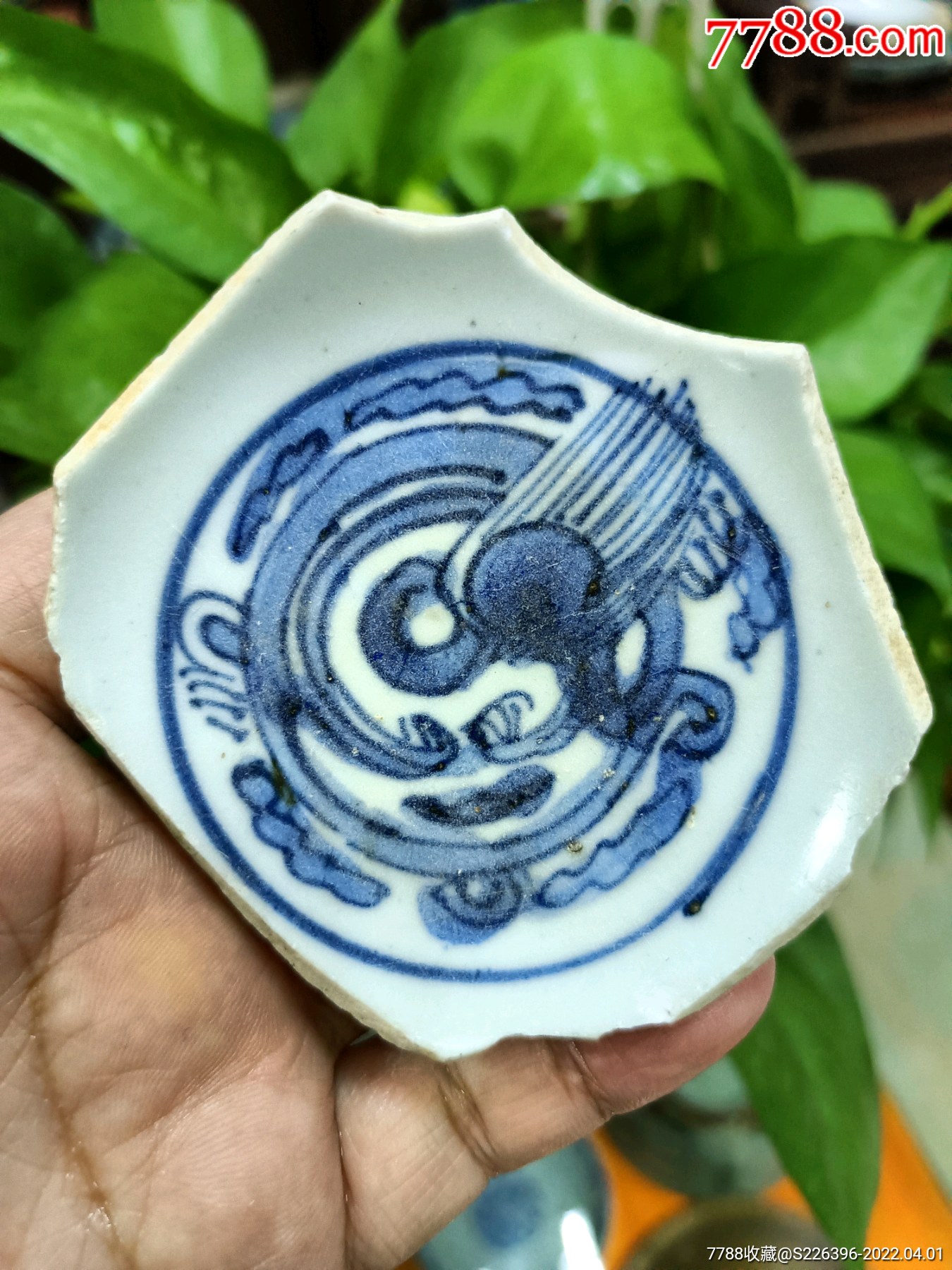 明代螭龙纹瓷片标本