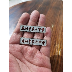 中学校徽:苏州市第六中学,校徽两枚一起