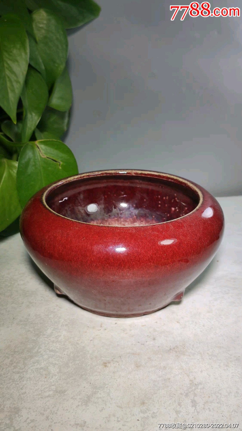 红釉乳钉瓷笔洗造型独特瓷质细腻釉水肥厚十分漂亮