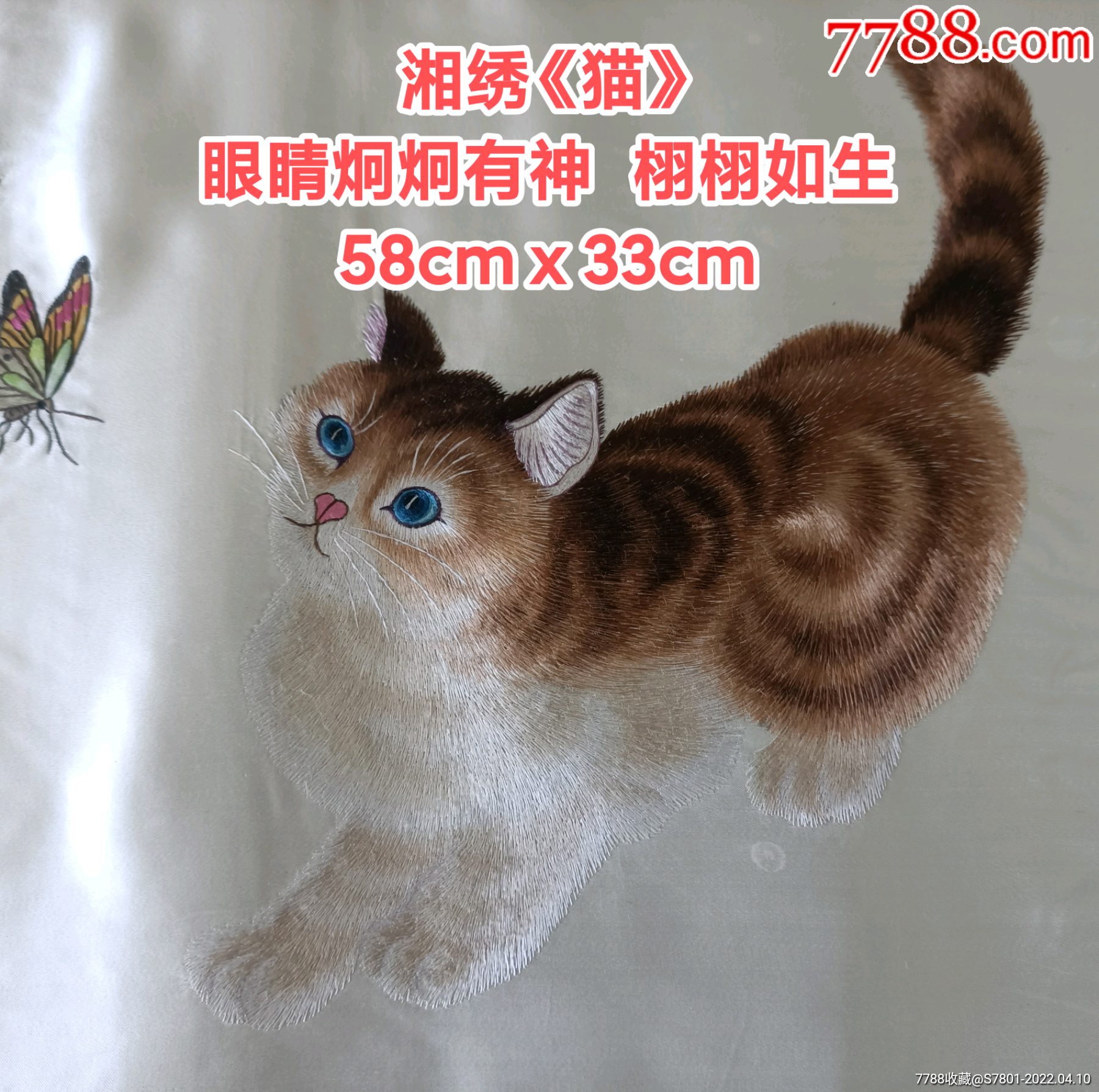 湘绣猫眼睛炯炯有神栩栩如生58cmⅹ33cm