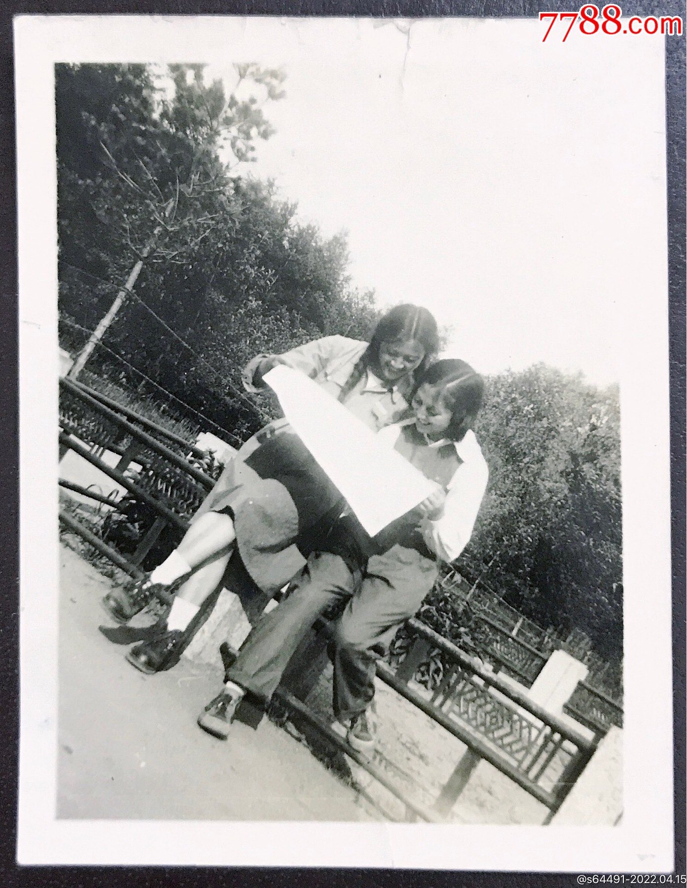 1953年,哈尔滨工业大学校园内,女生看报纸(背有题字)_老照片_第1张