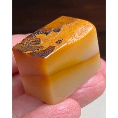 带皮老挝黄北部冻