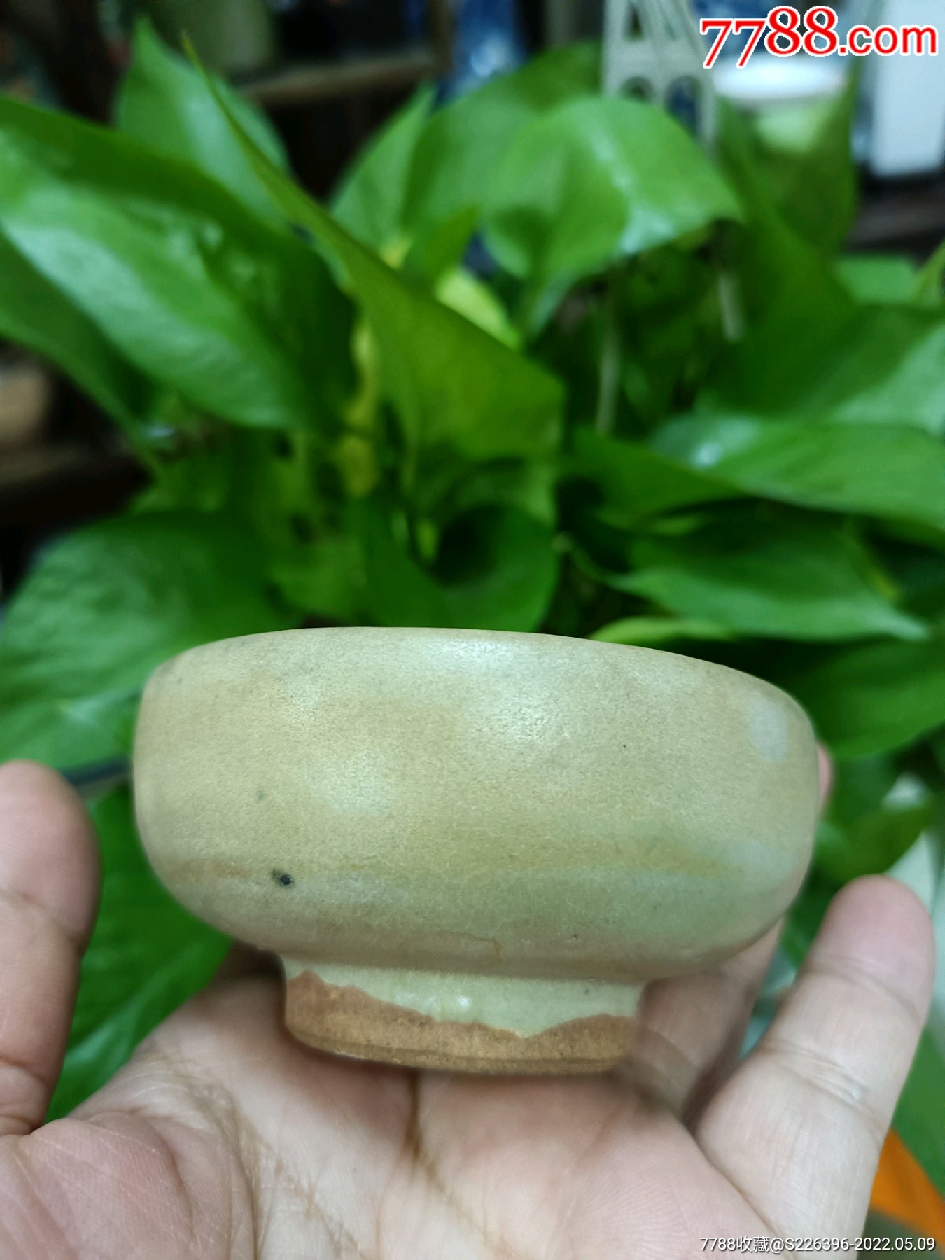 元代龙泉窑茶杯