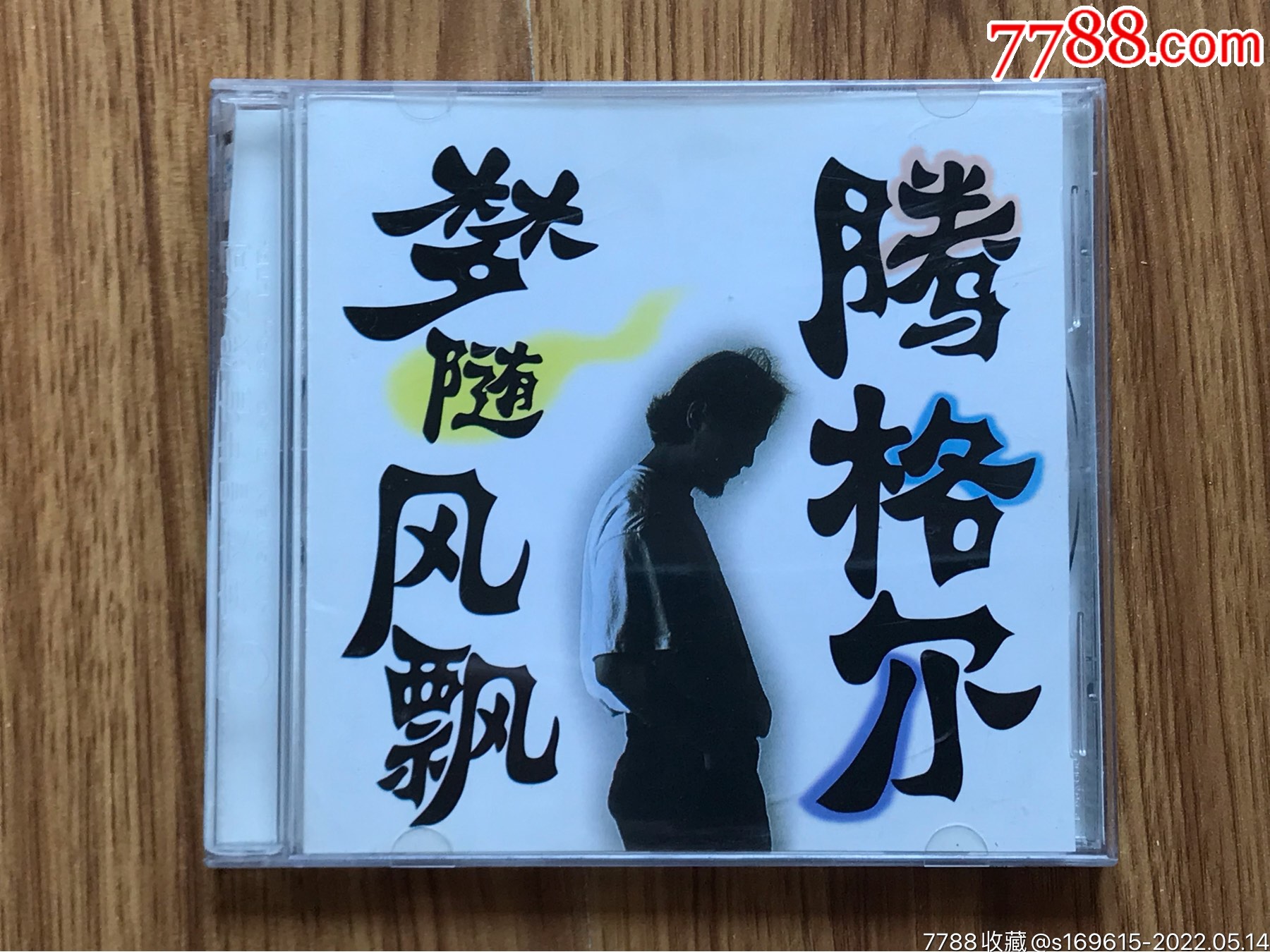 腾格尔一一梦随风飘