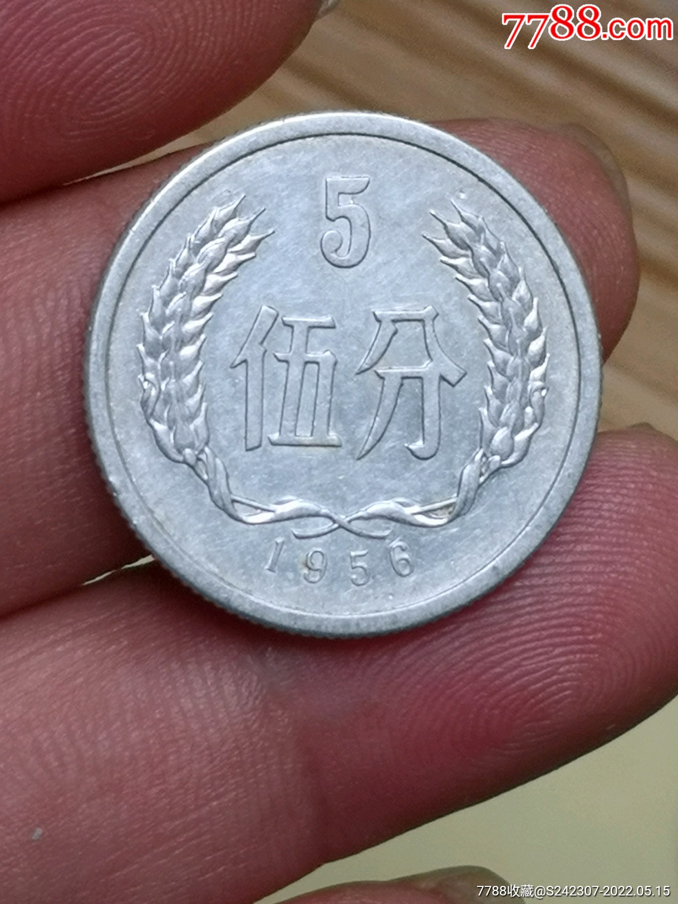 1956年五分(近全新光品)1枚_人民币_我的古集坊【7788收藏__收藏热线