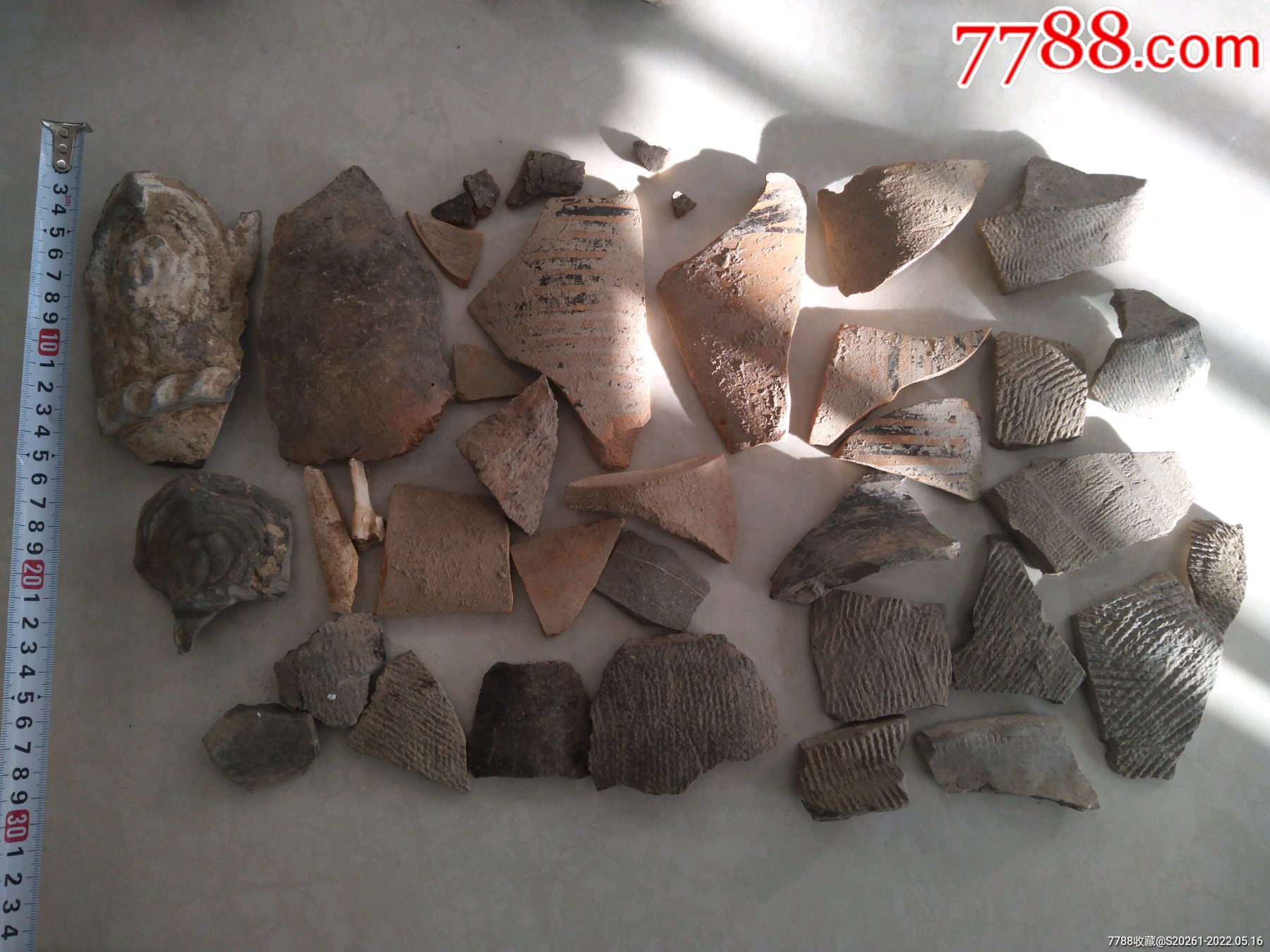 灰陶片彩陶片红陶片老兽骨标本一堆