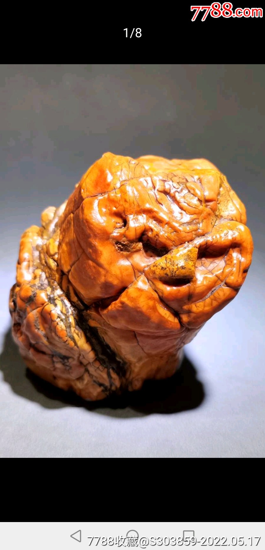 沙漠漆质地好颜色漂亮无伤完美造形象猫头鹰或草原小雄狮-风砺石/戈壁