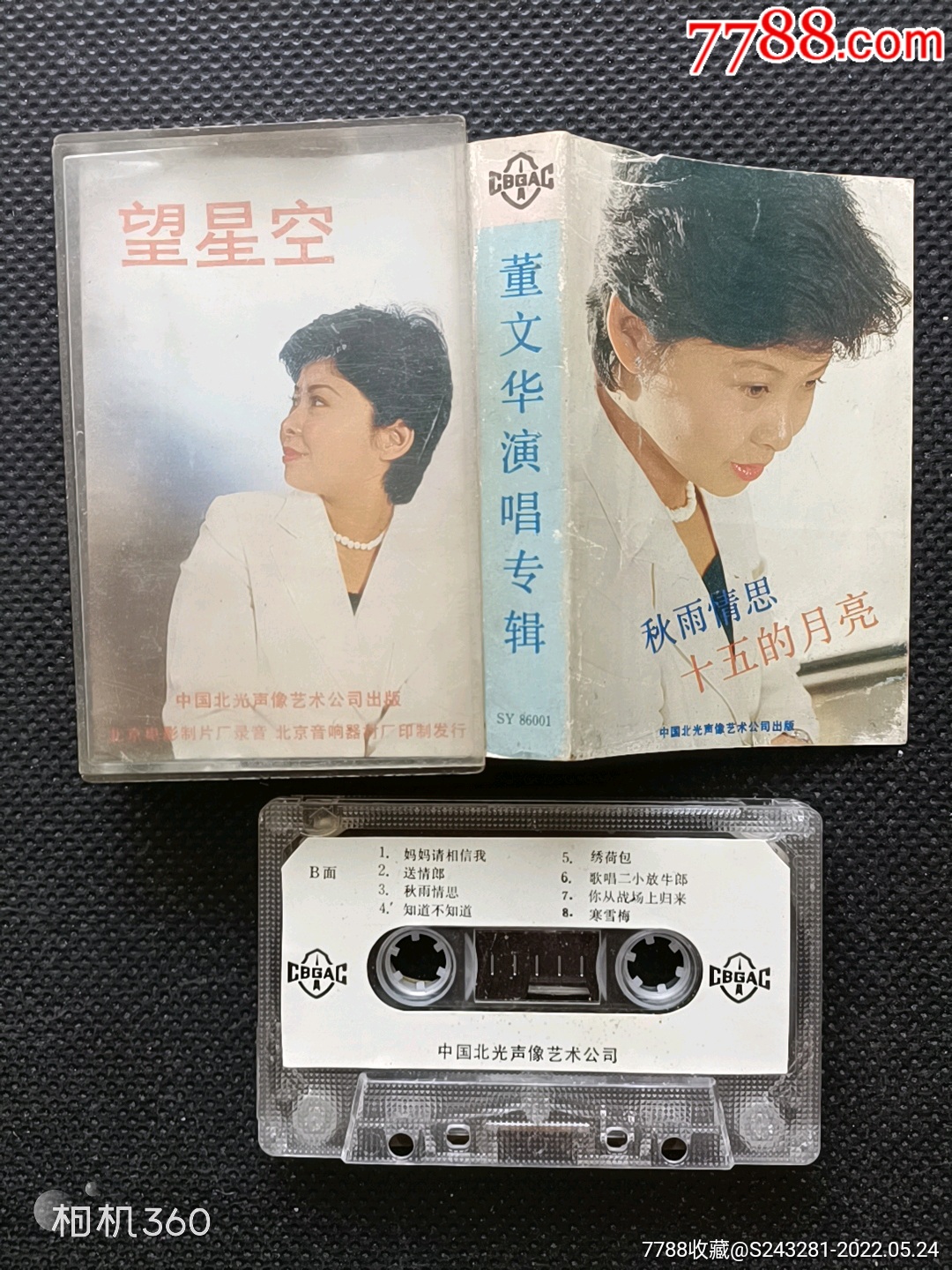 董文华望星空