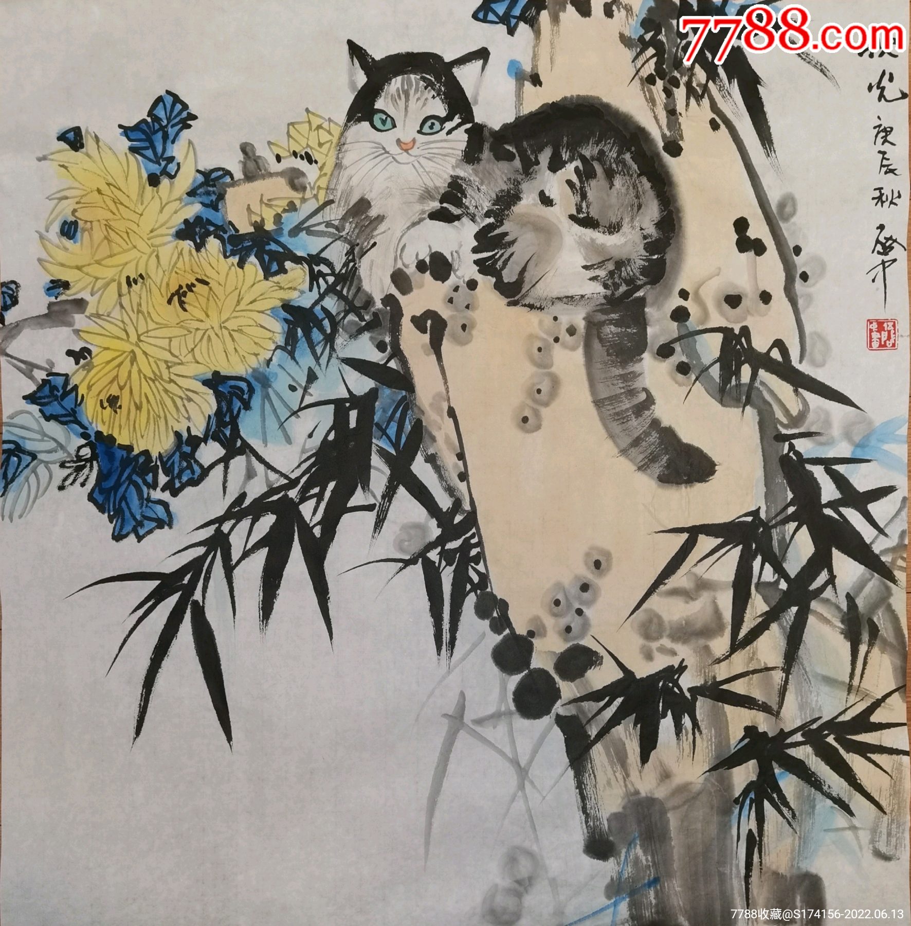 伍启中竹菊猫尺寸67x68厘米_花鸟国画原作_三哥画廊【7788收藏__收藏