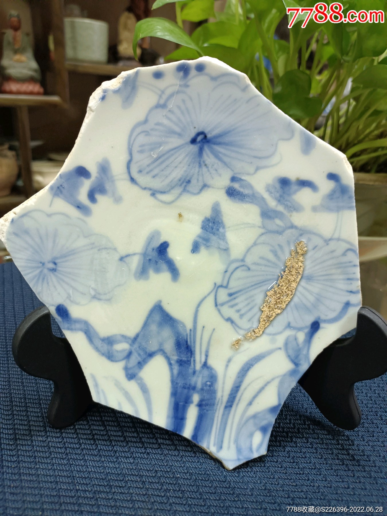 明代荷叶纹瓷片标本