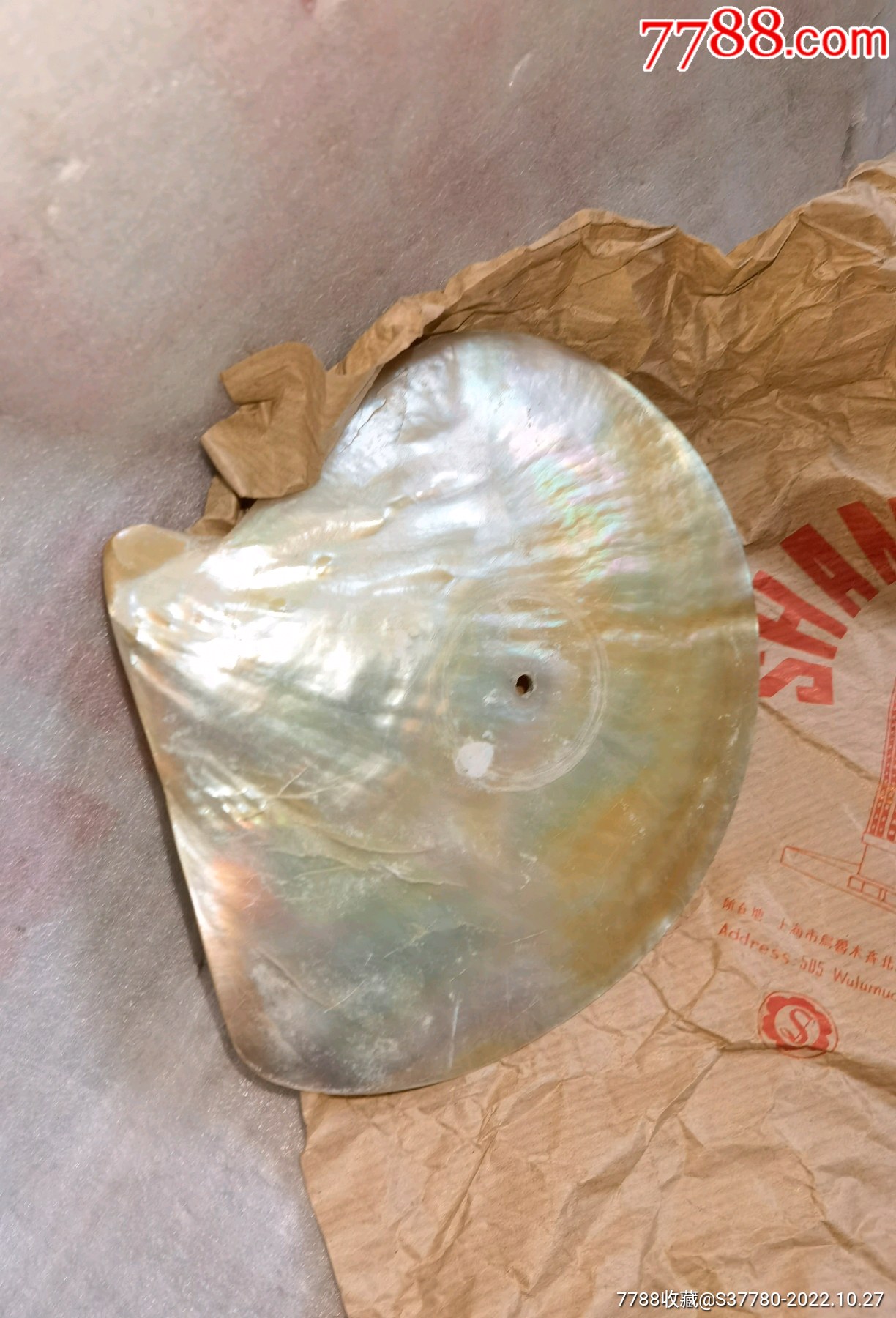 七彩贝壳标本无破损_价格1元_第1张