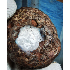 7108五彩球粒或角砾陨石504克(zc32051179)_7788收藏__收藏热线