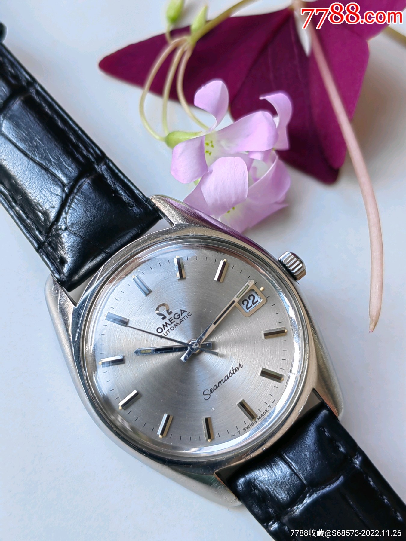 海马系列小鲍鱼款欧米茄拉跳王565