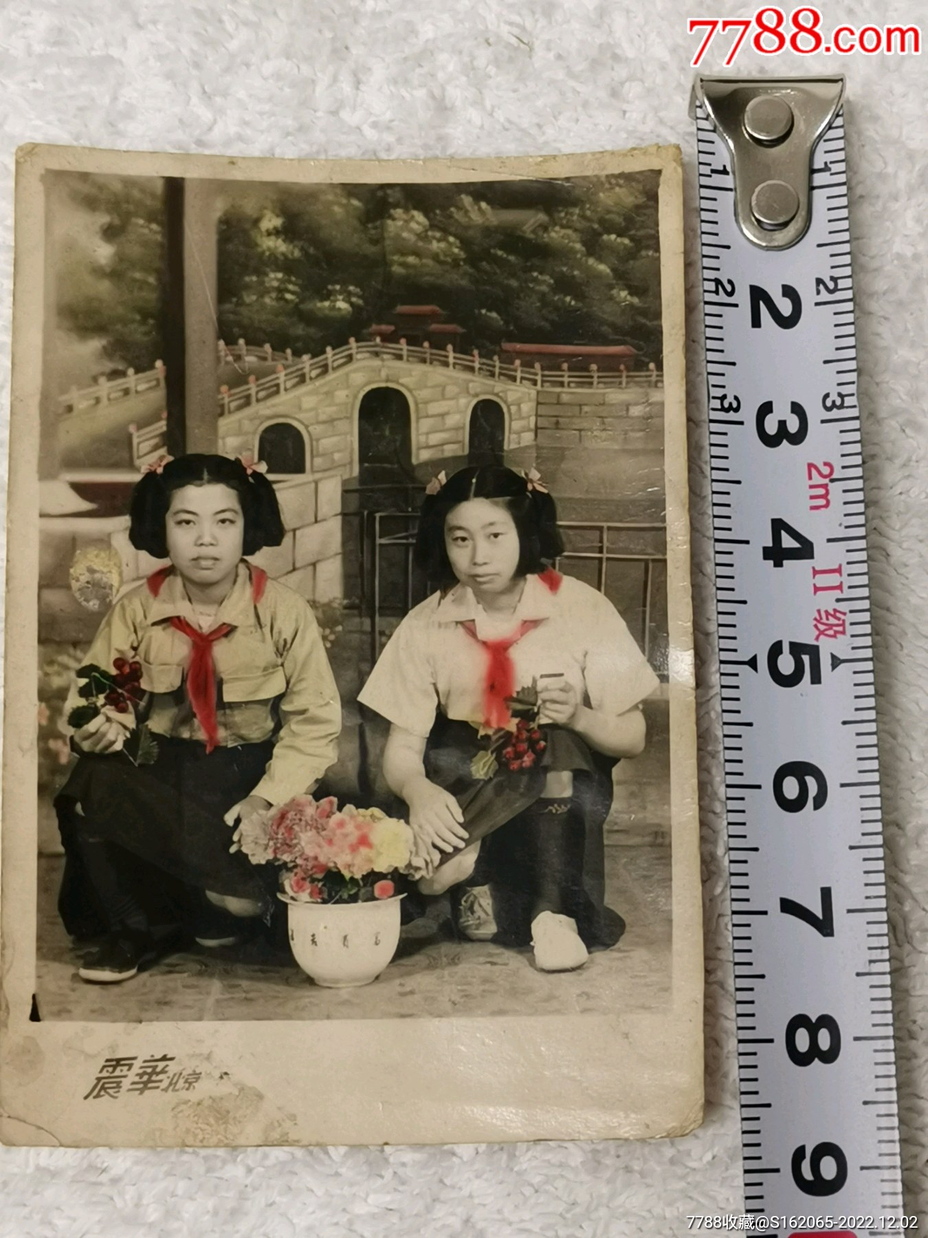 50年代少先队图片