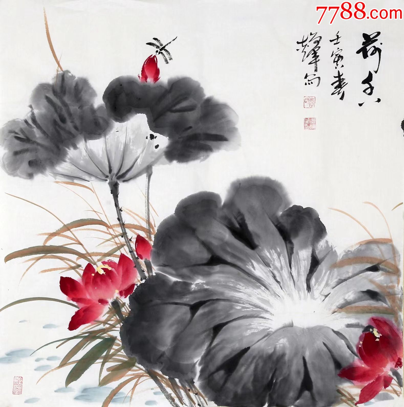 国画荷花作品题款内容图片