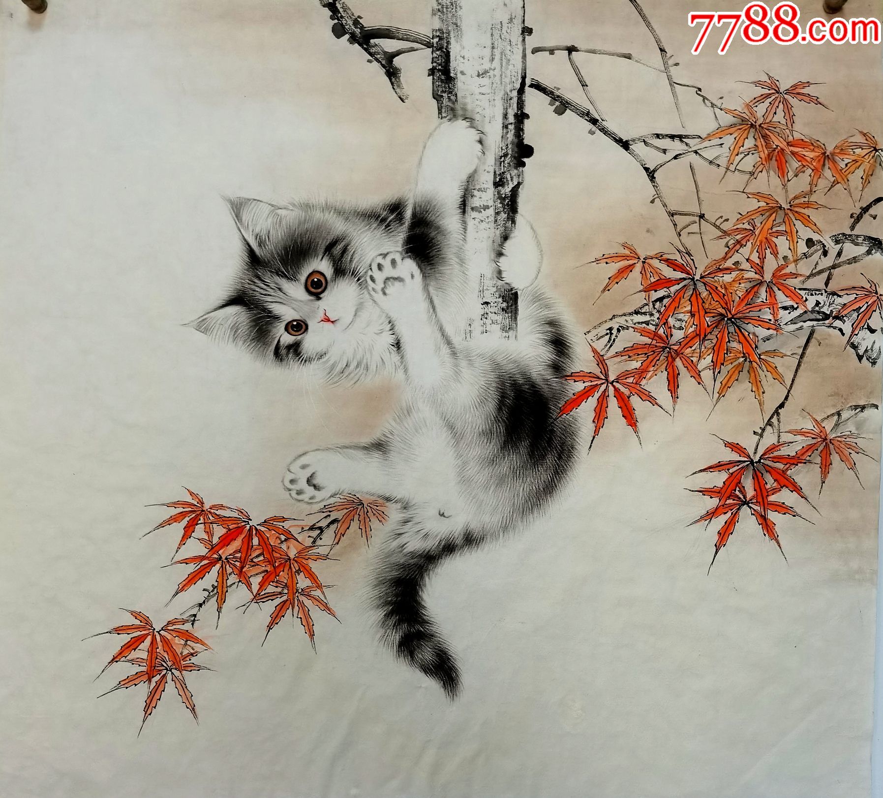 天来堂当代猫王秦文轩三尺斗方红叶相思欣赏