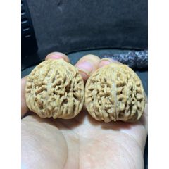 仅此一对野生公子帽文玩核桃麻核桃一对