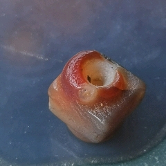 旧藏锥形老玛瑙珠子-玛瑙-7788商城